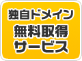 �Ǝ��h���C���擾��s����