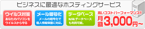 ビジネスに最適なホスティングサービス