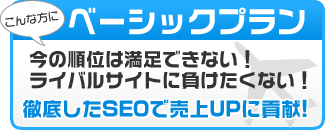徹底したSEO対策で売上UPに貢献