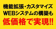 機能拡張・カスタマイズ・WEBシステムの構築も低価格で実現!!