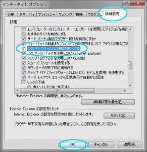 インターネットオプションの詳細設定