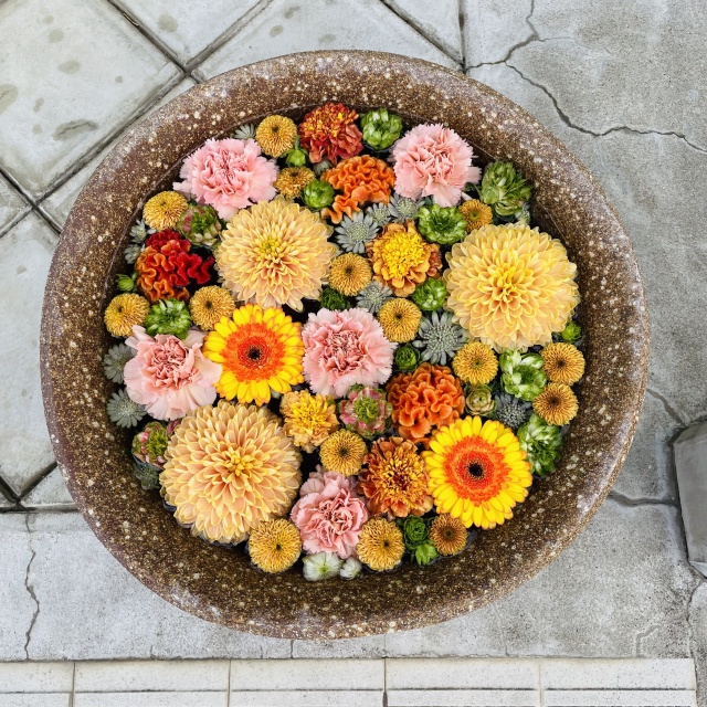 カフェの花手水4