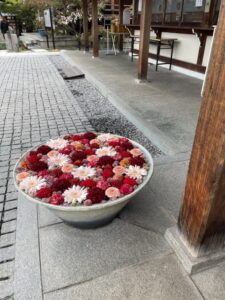 行田八幡神社の花手水1