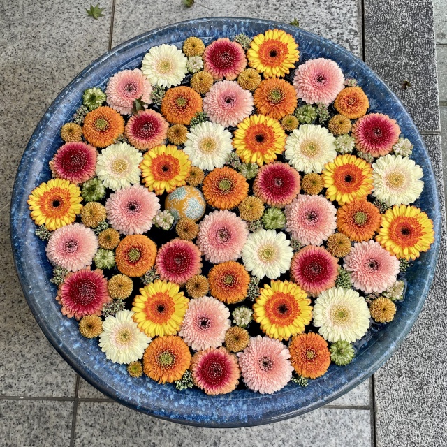 行田八幡神社の花手水3
