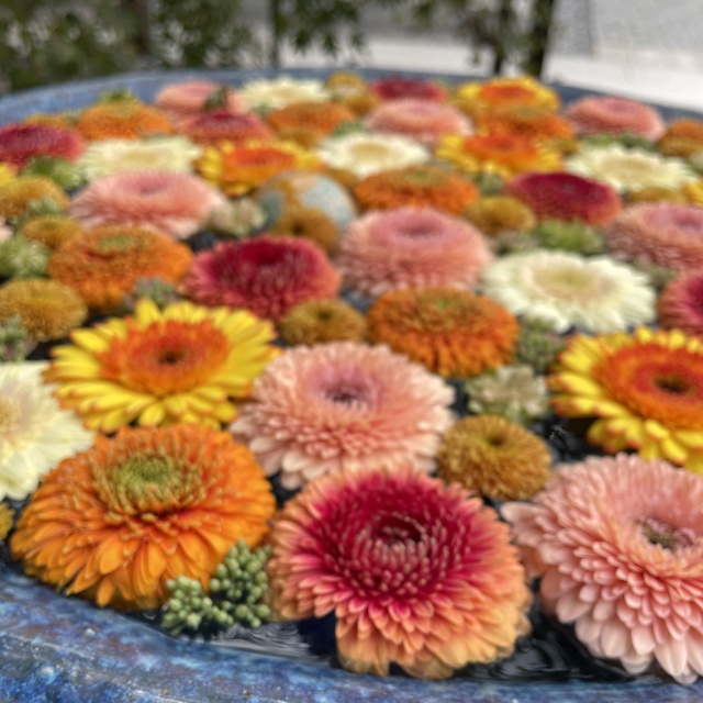 行田八幡神社の花手水4